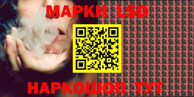 прущие грибы Канаш