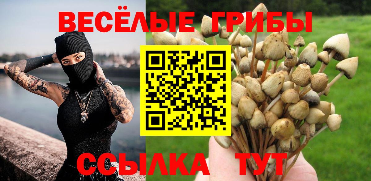 Псилоцибиновые грибы прущие грибы Краснокаменск
