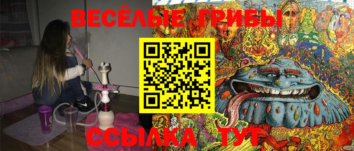 Псилоцибиновые грибы ЛСД  Псилоцибиновые грибы Magic Shrooms  Краснокаменск  Вход с VPN 